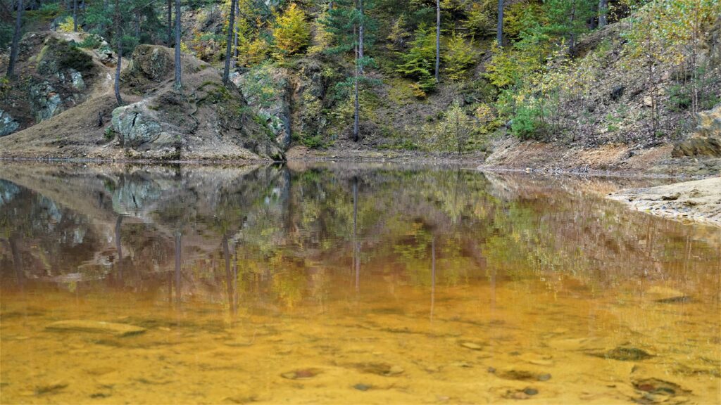 Purpurowe Jeziorko w Rudawskim Parku Krajobrazowym
