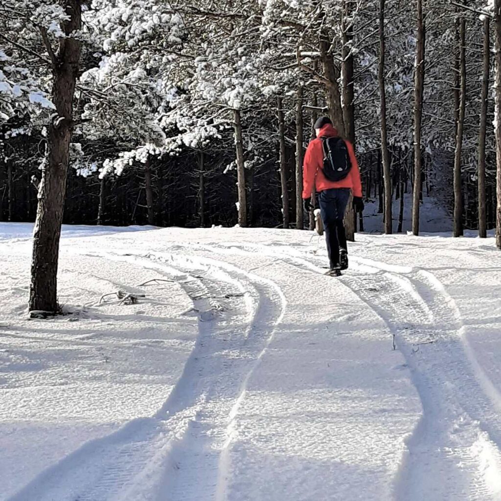 Zimowy spacer po lesie Biały Bór