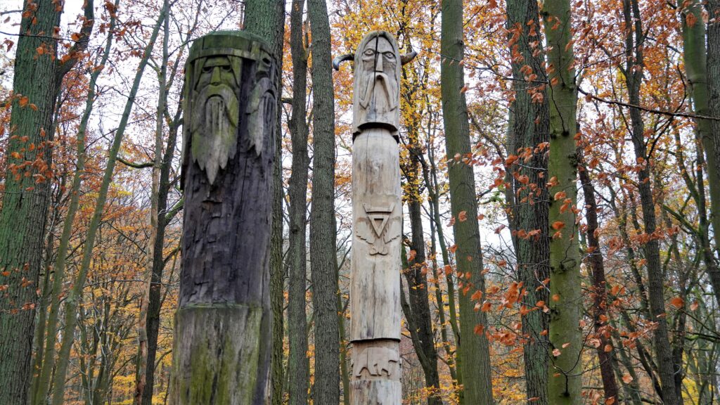 drewniane totemy wcieleń Welesa Trygława Puszcza Bukowa Szczecin