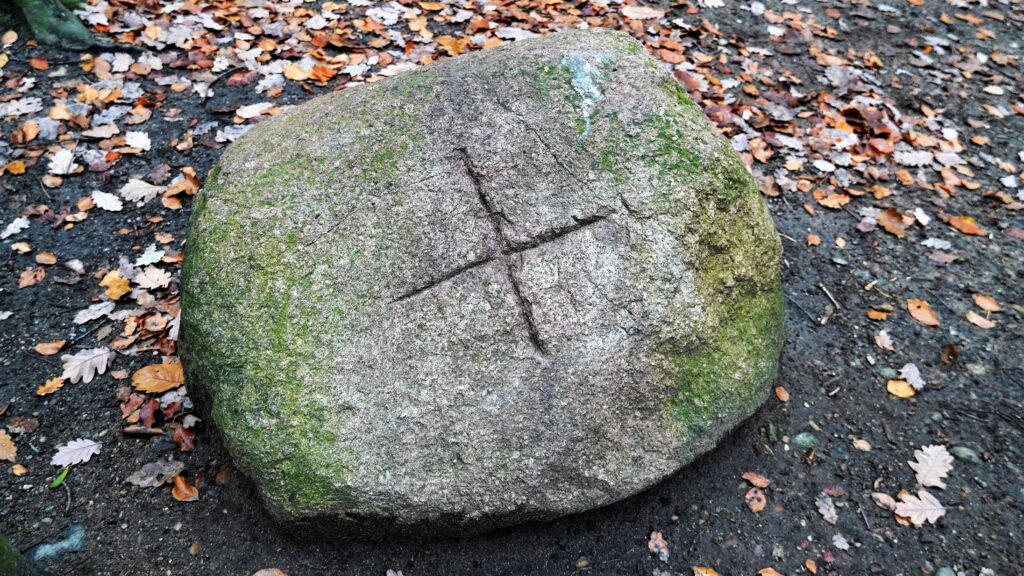 kamień ze znakiem runicznym Wzgórze Trygława Puszcza Bukowa Szczecin