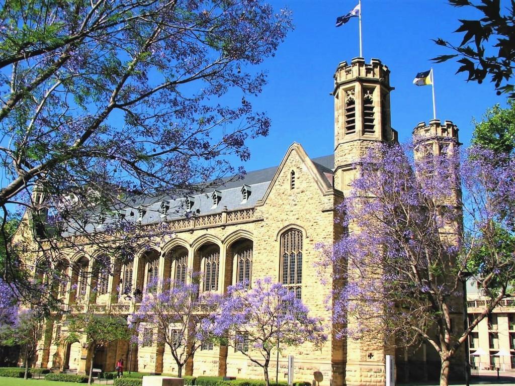 budynek uniwersytetu w Adelaide