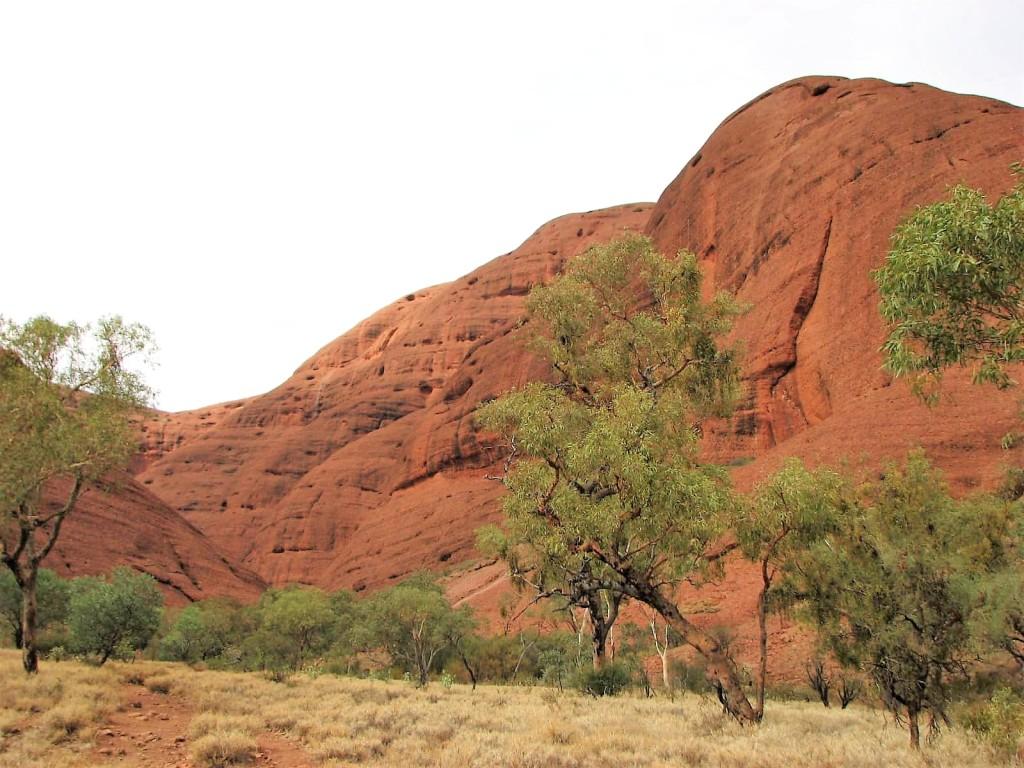 droga dookoła Uluru Australia