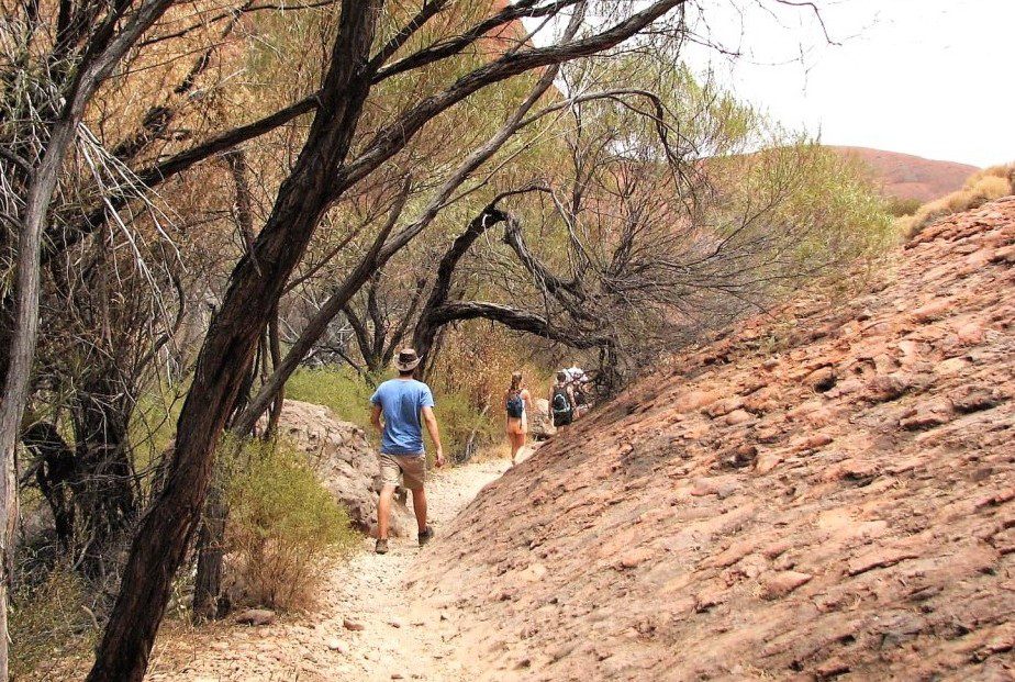 droga pośród kopuł skalnych Kata Tjuta Australia