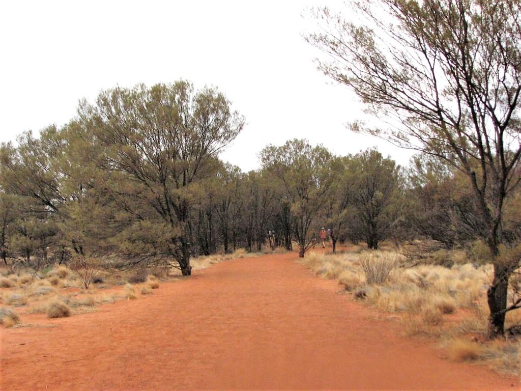 droga wokół Uluru Australia