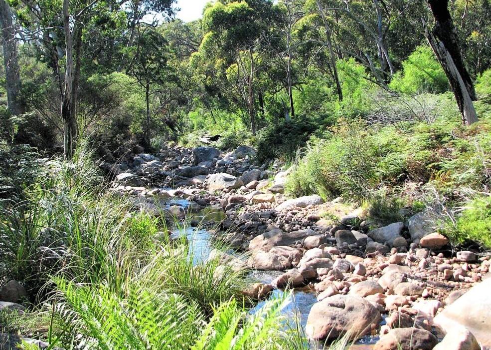 górski potok w Gorach Grampians Australia