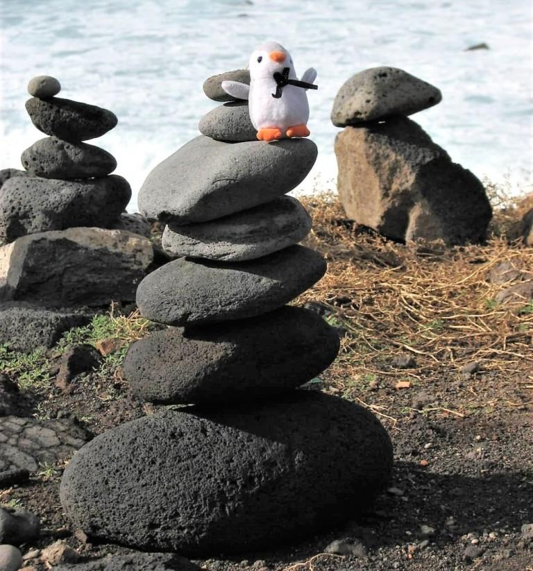 pingwinek na kamiennej piramidce Puerto de la Cruz Teneryfa