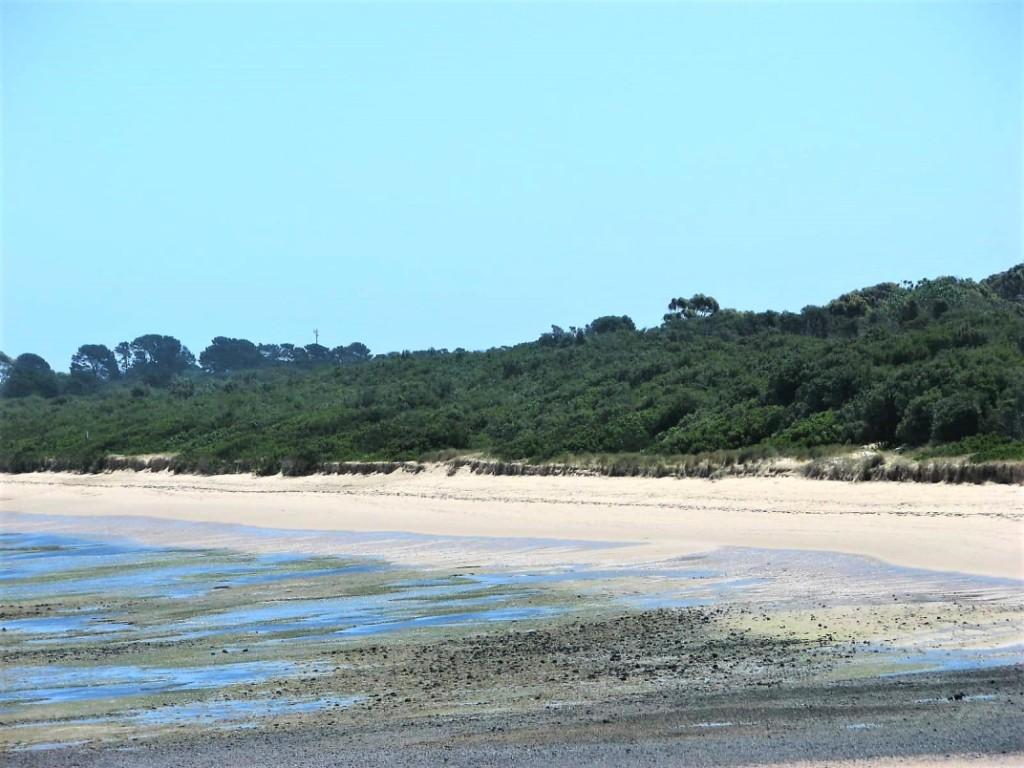 plaża na Phillip Island