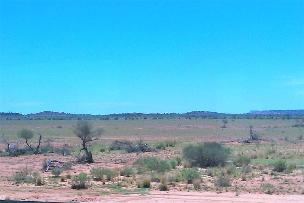 pustynia scrub na trasie The Ghan z Adelaide do Alice Springs Australia