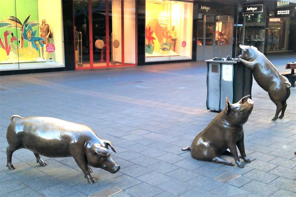 rzeźby świń na Mall w Adelaide