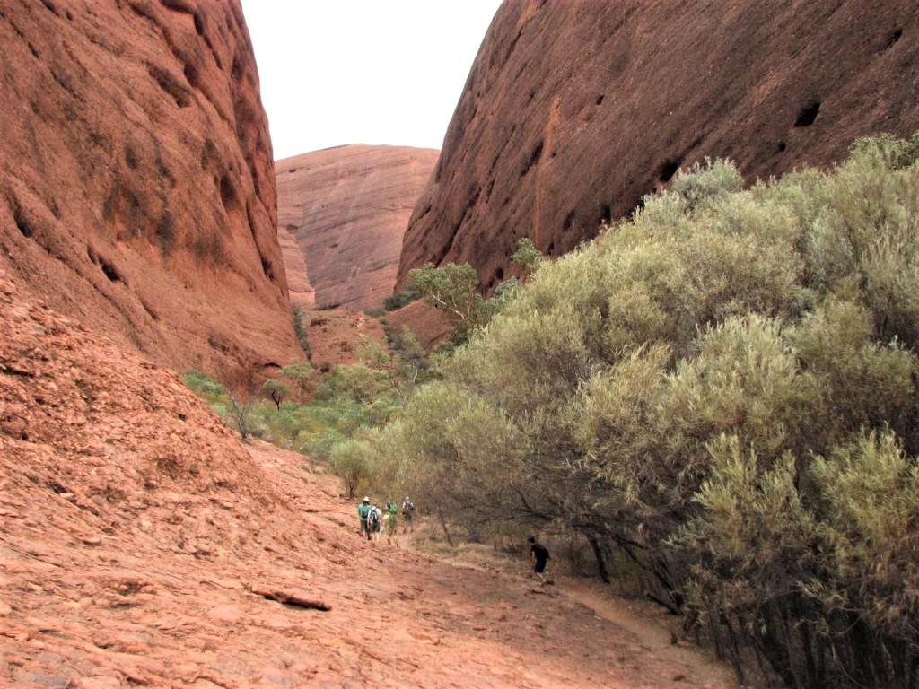 ścieżka między skałami wąwóz w Kata Tjuta Australia