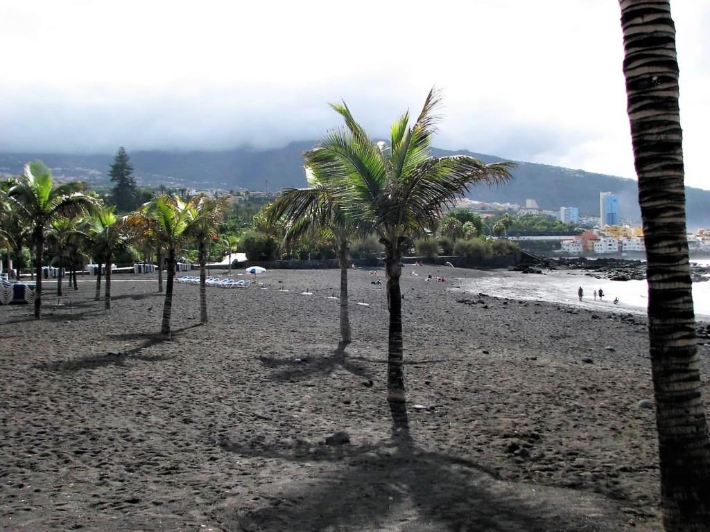 wulkaniczna czarna plaża i palmy w Puerto de la Cruz Teneryfa
