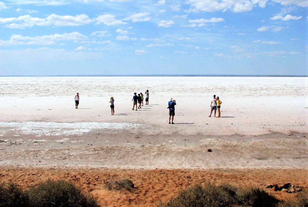 wyschnięte słone jezioro Hart w okolicy Port Augusta