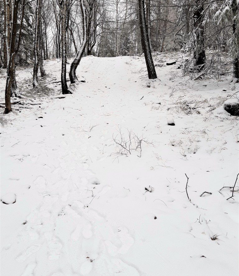 Droga na Borową Górę zimą