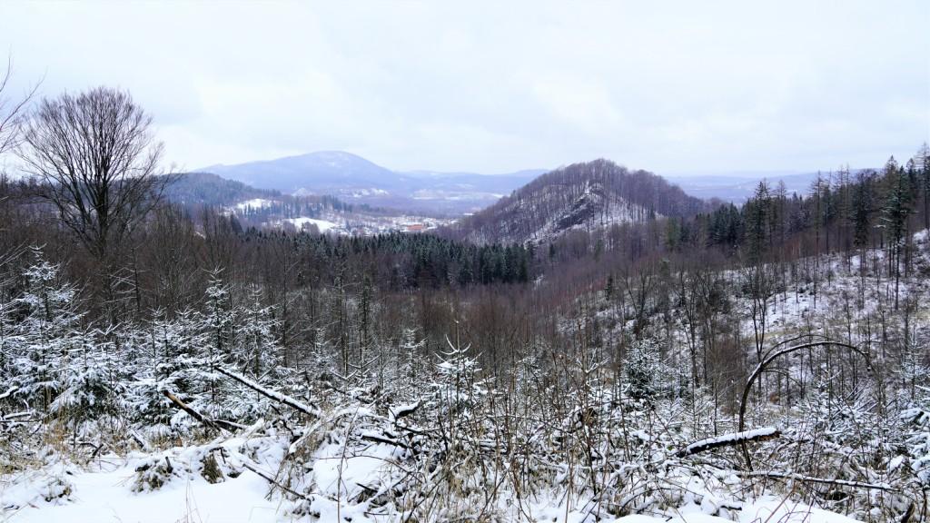 Panorama Gór Wałbrzyskich z żółtego szlaku z Przełęczy Koziej w stronę Wałbrzycha