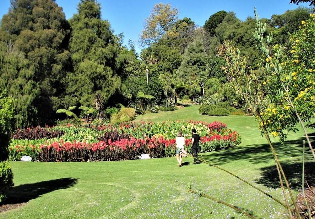 Royal Botanic Garden w Melbourne