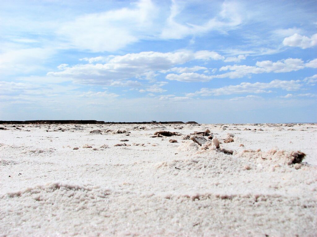 Wyschnięte jezioro Hart powierzchnia niecki pokryta solą Południowa Australia