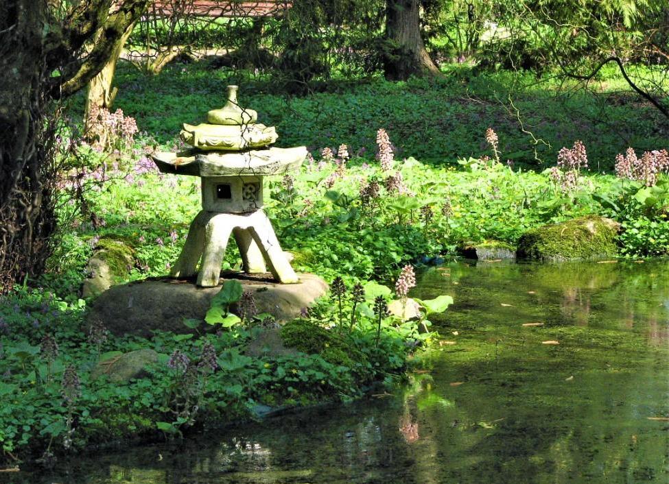 mały symbol japońskiej świątyni nad stawkiem w ogrodzie japońskim